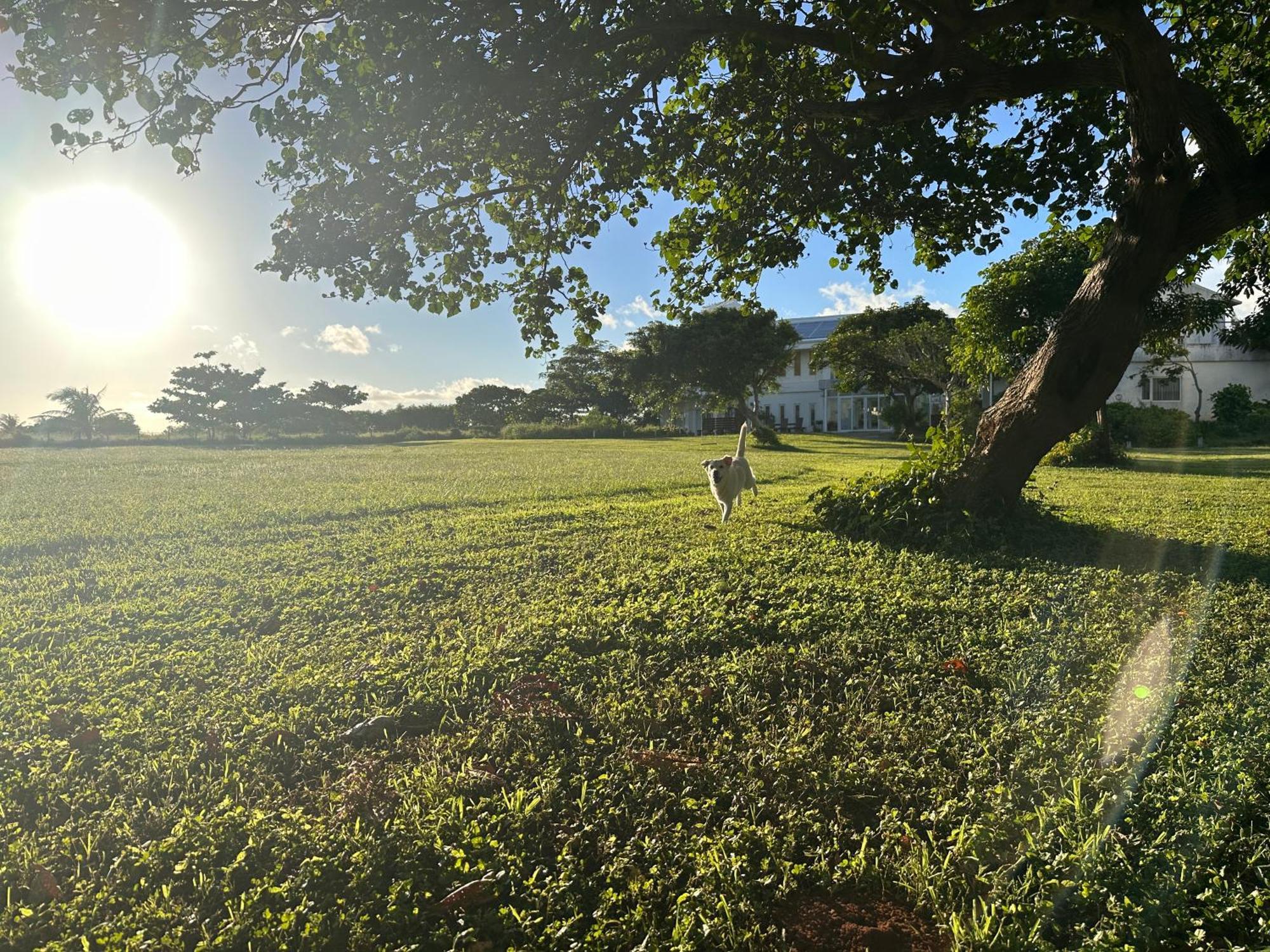 Kenting Comic B&B&Spring Hengchun Old Town Zewnętrze zdjęcie