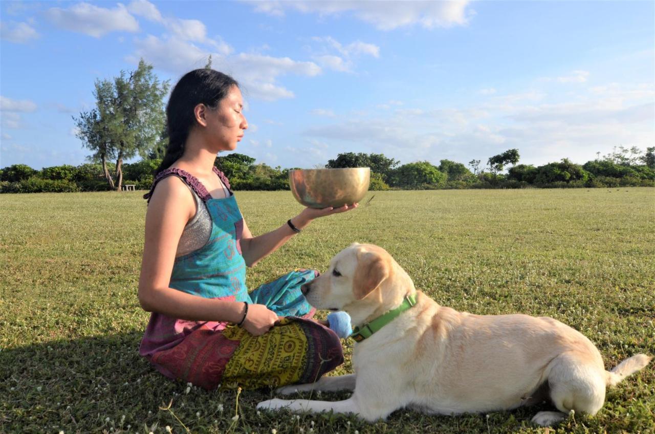Kenting Comic B&B&Spring Hengchun Old Town Zewnętrze zdjęcie